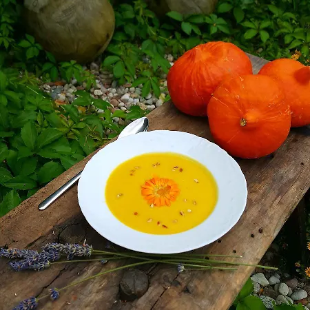 Stodola 7 Gospodarstwo agroturystyczne *